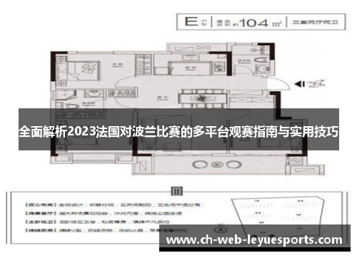全面解析2023法国对波兰比赛的多平台观赛指南与实用技巧