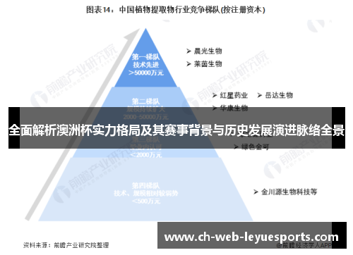 全面解析澳洲杯实力格局及其赛事背景与历史发展演进脉络全景